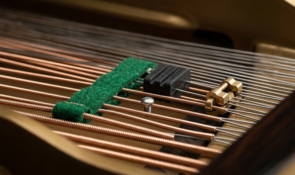 Creativity And Constraint